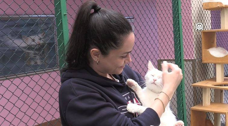 Koruma altındaki Van kedilerinden 70 yavru - Resim: 5